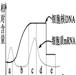 dna和rna彻底水解的产物、dna和rna彻底水解的产物相同吗